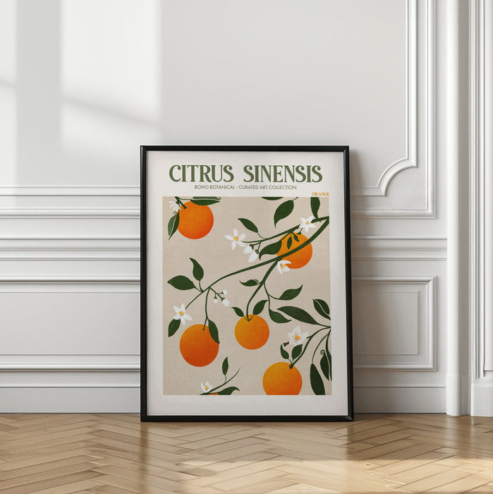 Citrus Framed Art Modern Wall Decor