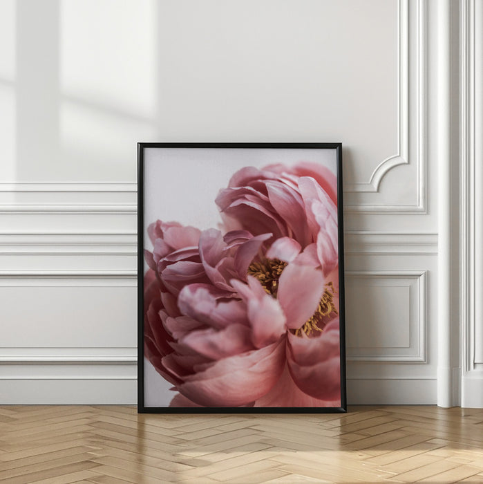 Peony Framed Art Modern Wall Decor