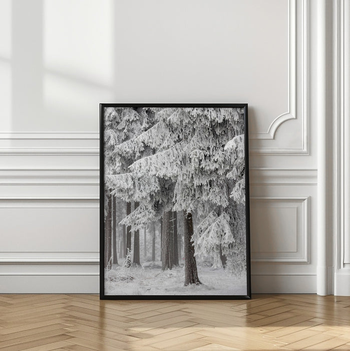 Winter Forest 2 Framed Art Modern Wall Decor