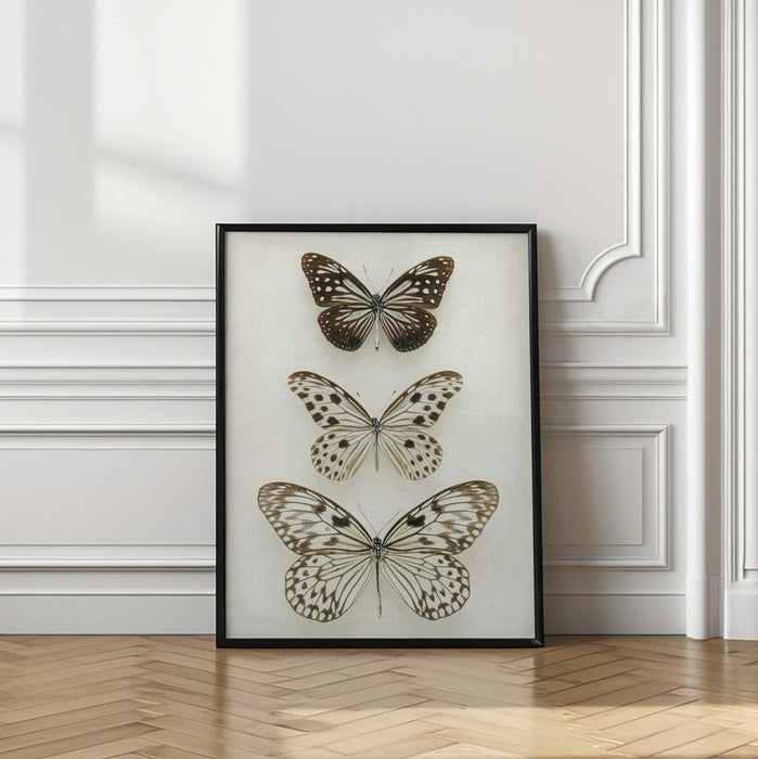 Three Neutral Butterflies Framed Art Modern Wall Decor