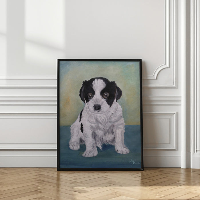 Border Collie Puppy Framed Art Modern Wall Decor