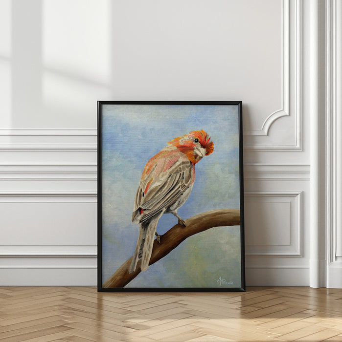 I Spy With My Little Eye   Male House Finch Framed Art Modern Wall Decor