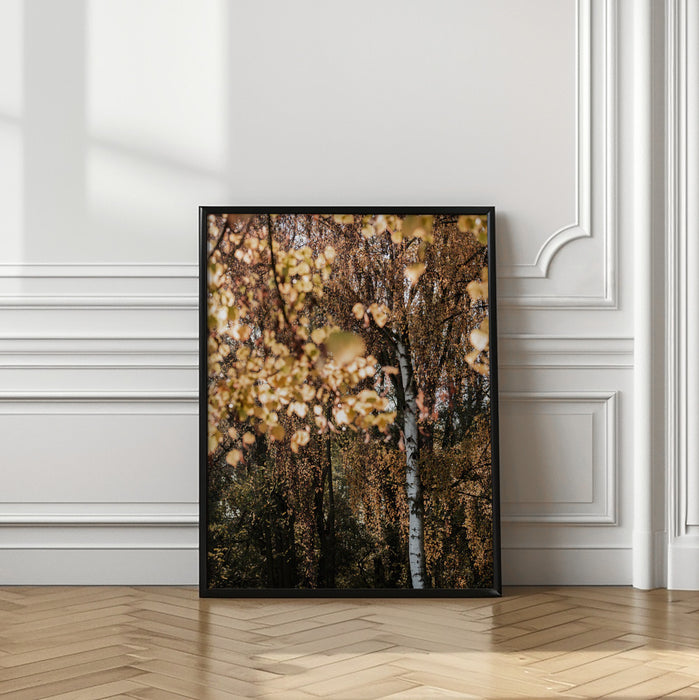 Autumn Birch Tree Framed Art Wall Decor