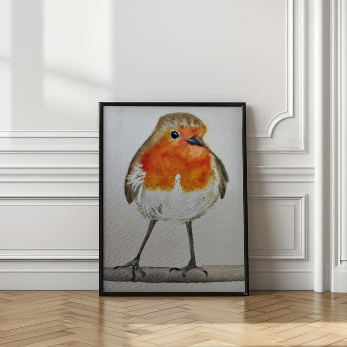 Robin Framed Art Wall Decor