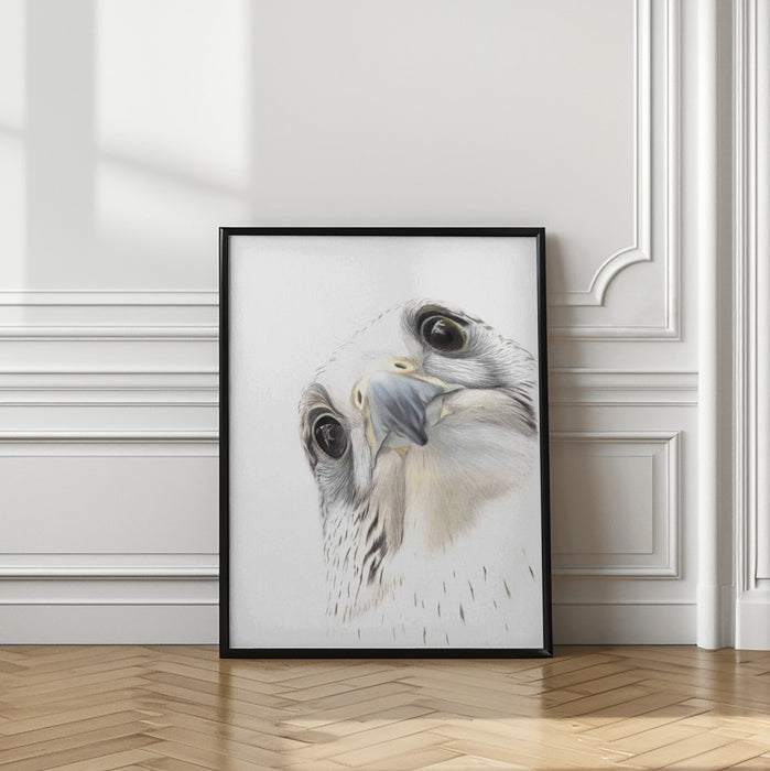 Falcon Framed Art Wall Decor