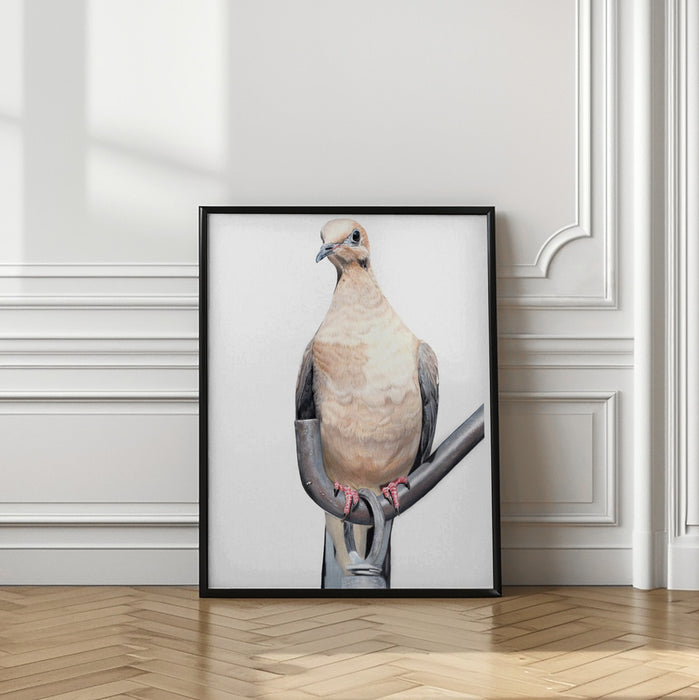 I&#039;m watching you Framed Art Wall Decor