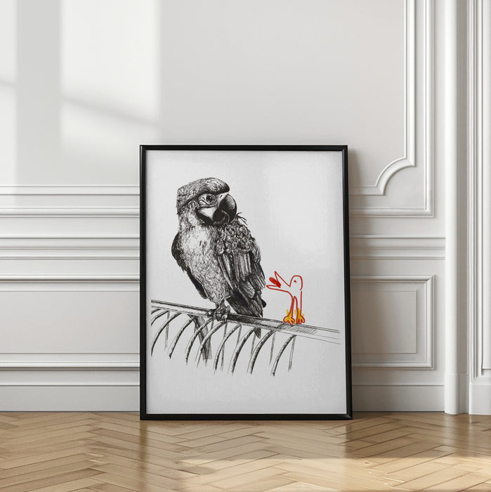 Polly wants a cracker Framed Art Wall Decor