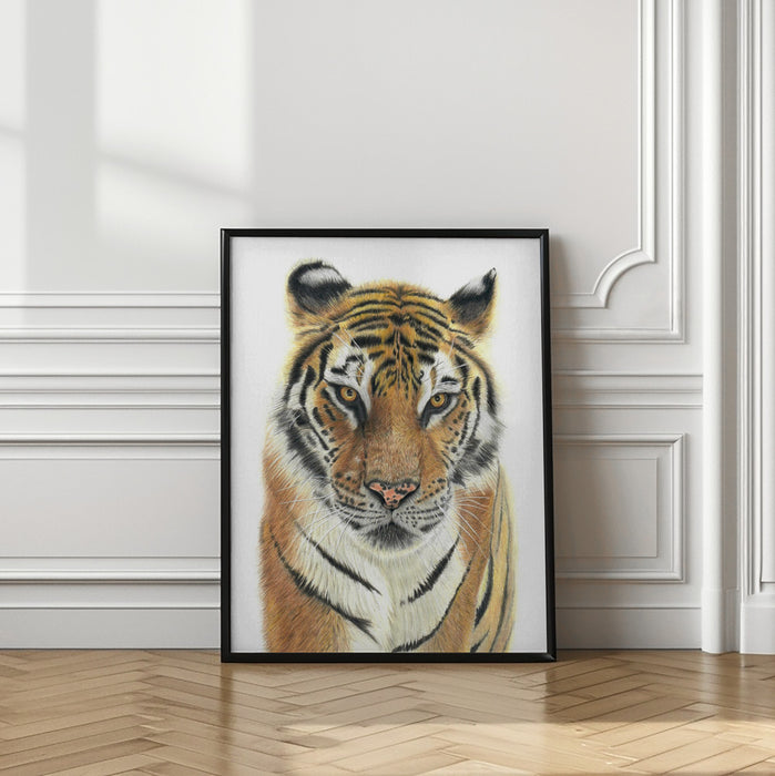 Tiger Framed Art Wall Decor