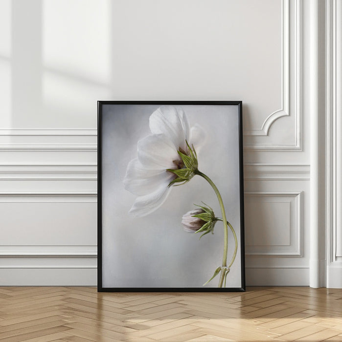 Heavenly Cosmos Framed Art Wall Decor