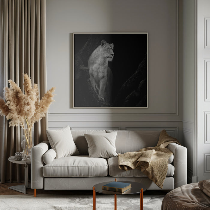 Lioness Square Canvas Art Print