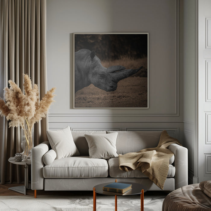 Rhinoceros Square Canvas Art Print