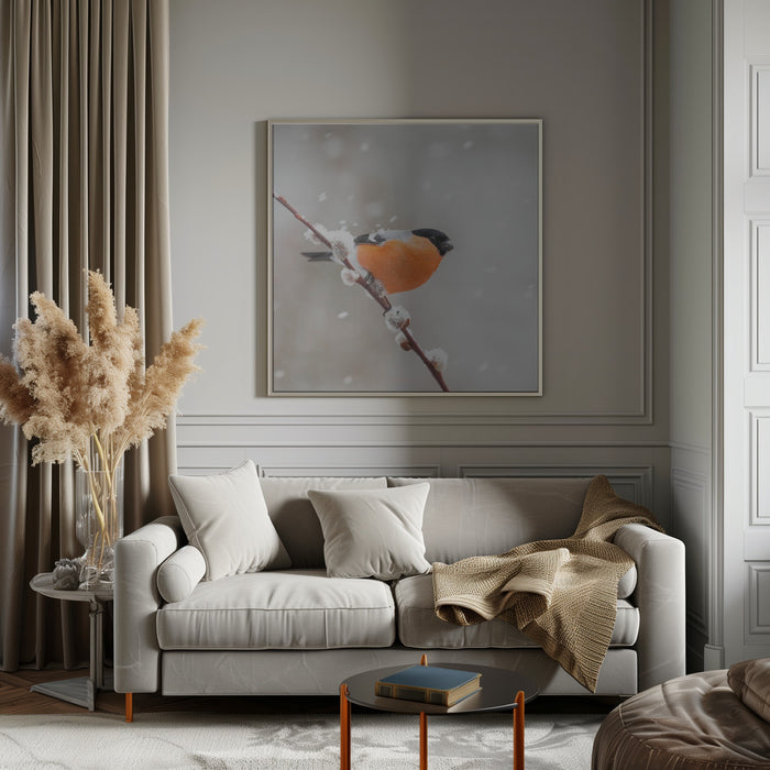 Bullfinch in a snowstorm. Square Canvas Art Print