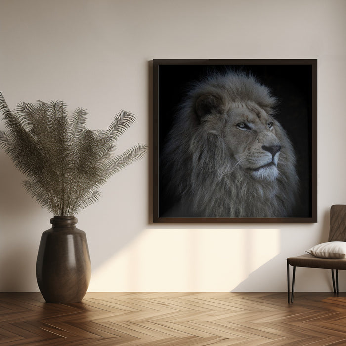 Proud Lion Square Canvas Art Print