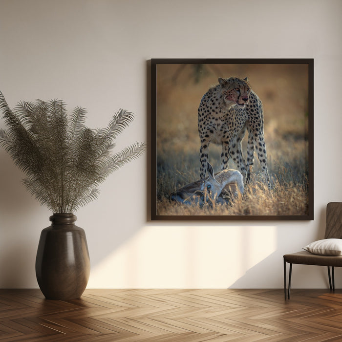 cheetah Square Canvas Art Print