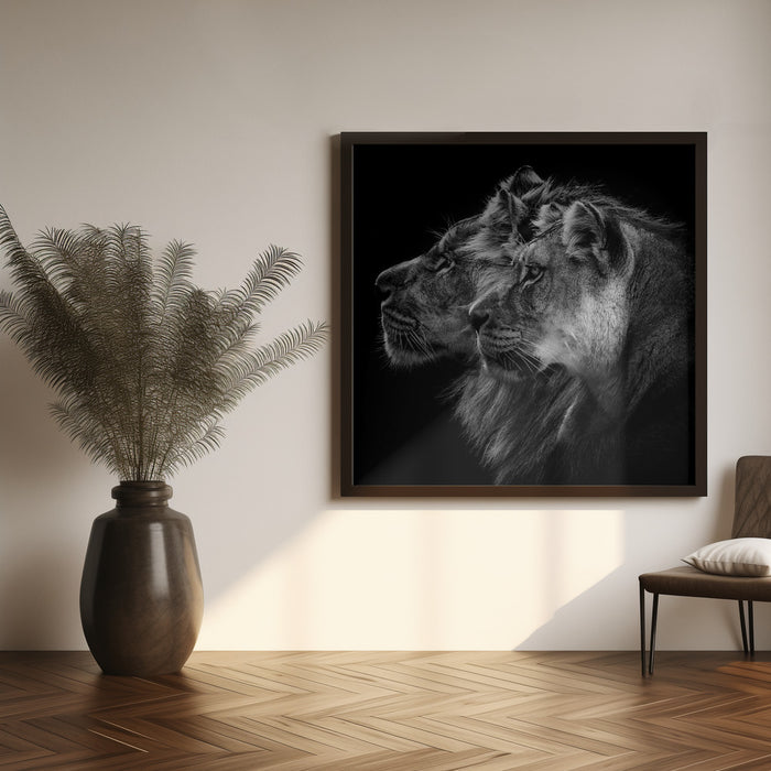 Lion and  lioness portrait Square Canvas Art Print