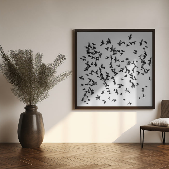 Birds Square Canvas Art Print