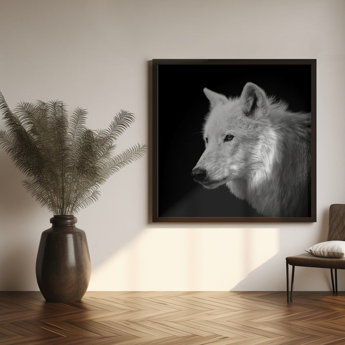 White Wolf #2 Square Canvas Art