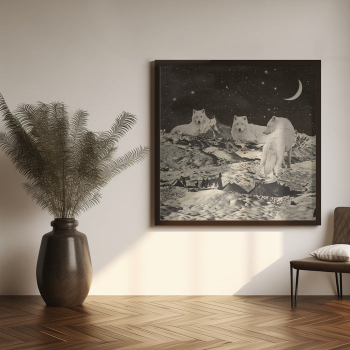 Giant White Wolves Square Canvas Art