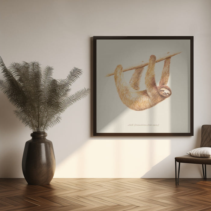 Css Animals   Sloth Square Canvas Art Print