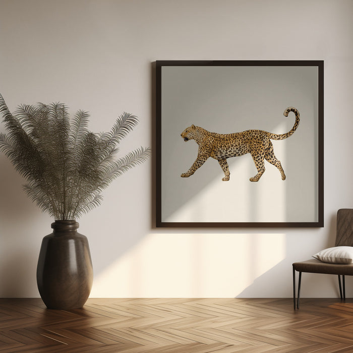 Leopard Square Canvas Art