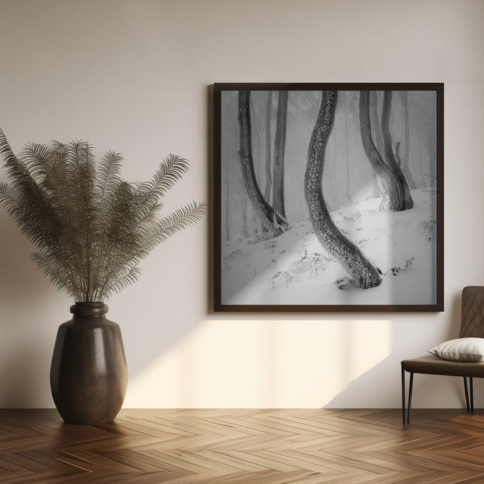 Frozen Forest Square Canvas Art Print