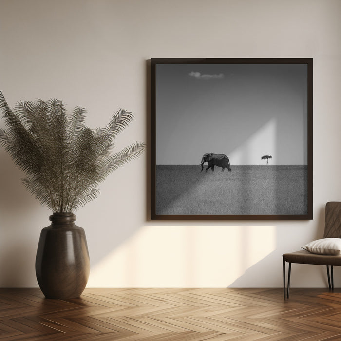 Elephant and the friendly cloud... Square Canvas Art Print