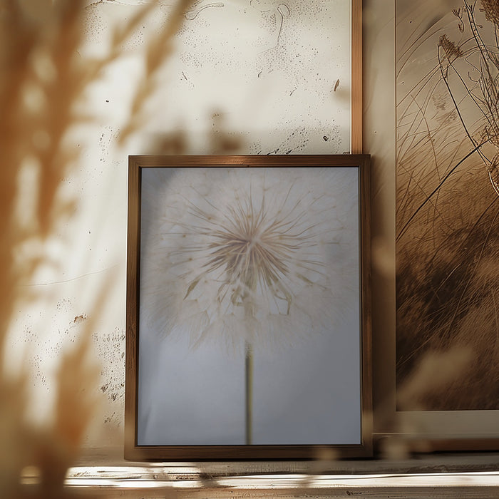 Delicate Dandelion Framed Art Wall Decor