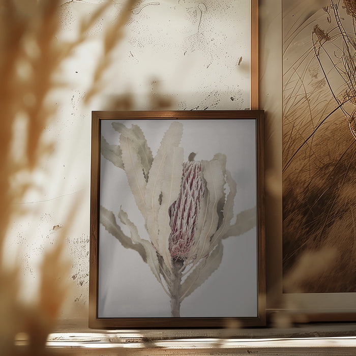 Banksia Framed Art Modern Wall Decor