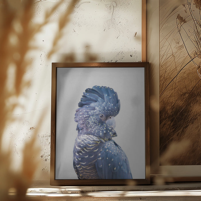 Black Cockatoo Framed Art Wall Decor