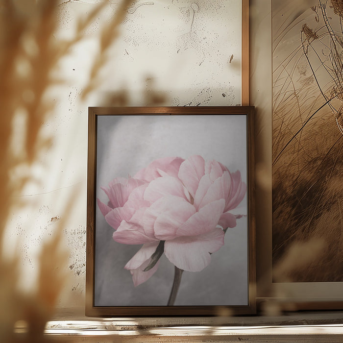 Peony Framed Art Wall Decor