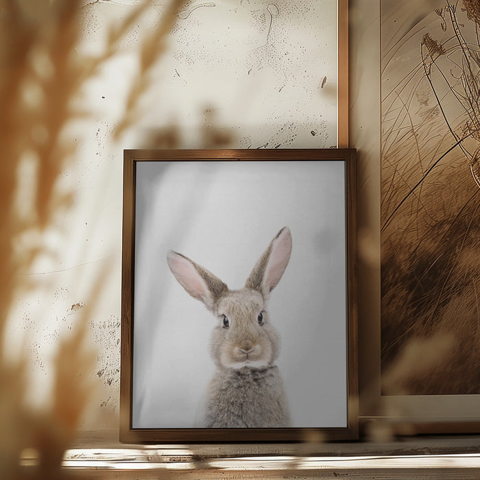 Baby Rabbit Framed Art Wall Decor