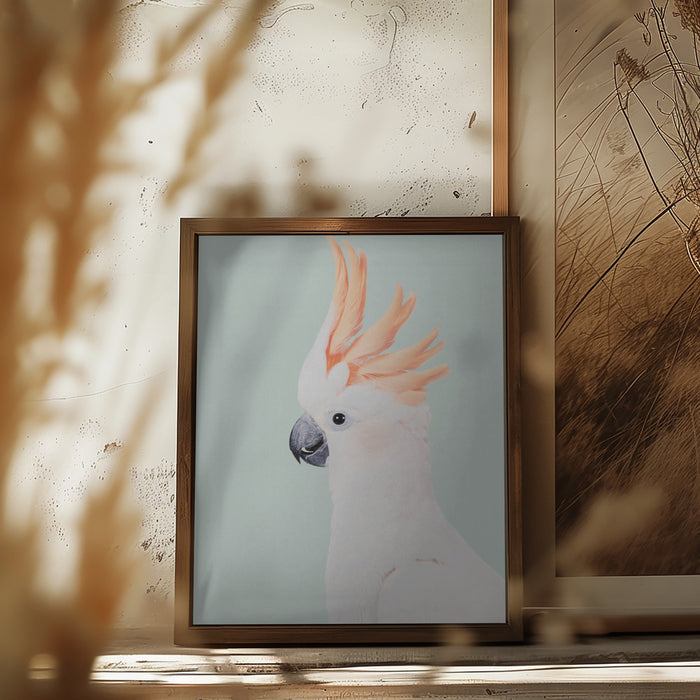 Cockatoo Framed Art Wall Decor