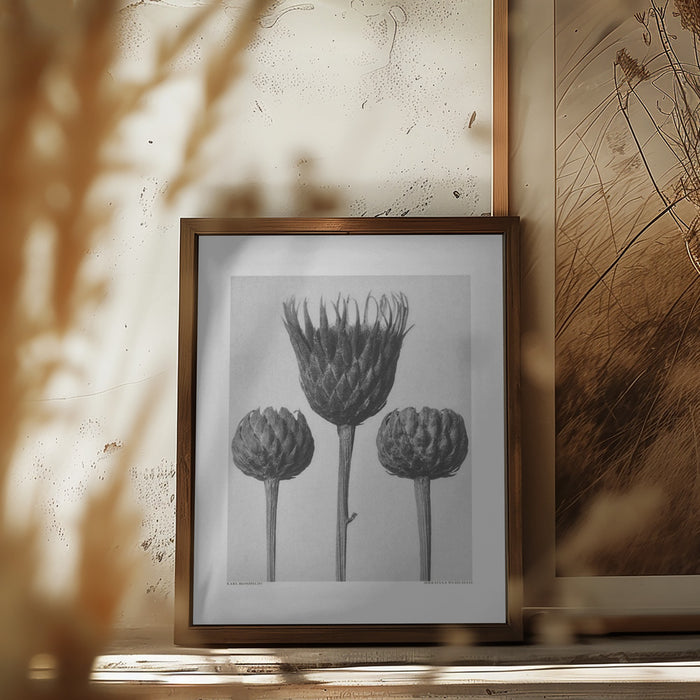 Serratula Nudicaulis Framed Art Modern Wall Decor