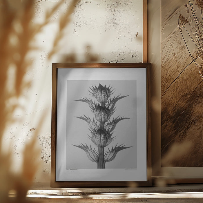 Acanthus mollis Framed Art Modern Wall Decor