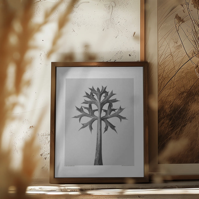 Eryngium Bourgatii Framed Art Modern Wall Decor