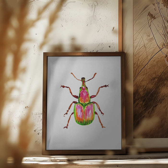 Apricot weevil or Epirhynchites auratus Framed Art Wall Decor