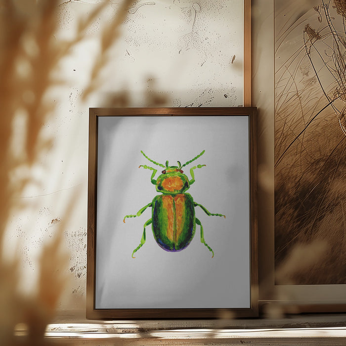 Tansy beetle or Chrysolina graminis Framed Art Modern Wall Decor