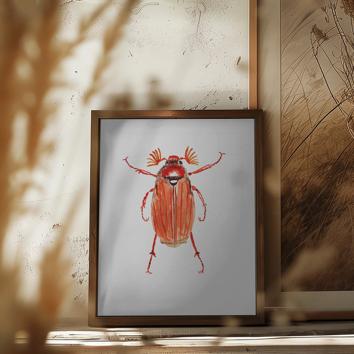 Forest cockchafer or Melolontha hippocastani Framed Art Wall Decor