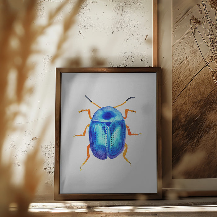 Blue leaf beetle or Colaphus sophiae Framed Art Wall Decor