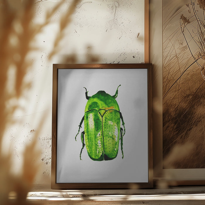 Green June beetle or Cotinis nitida Framed Art Wall Decor