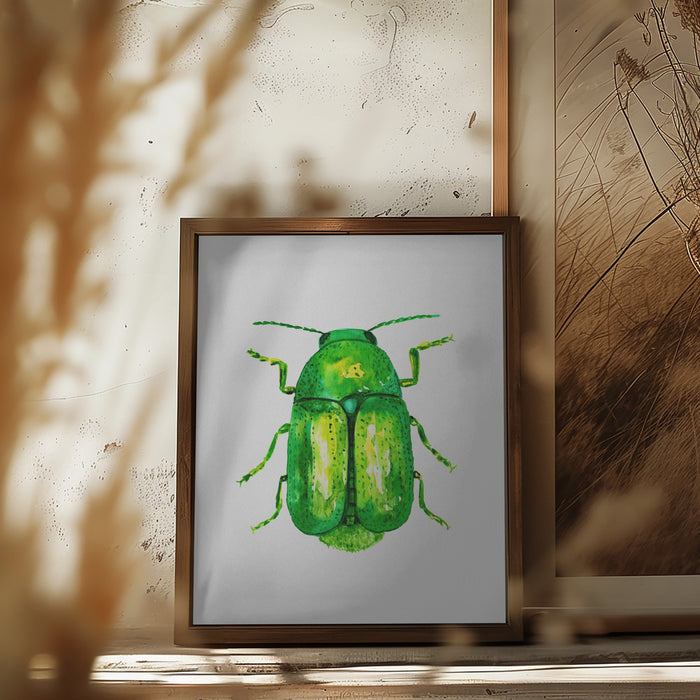 Cylindrical leaf beetle or Cryptocephalus sericeus Framed Art Wall Decor