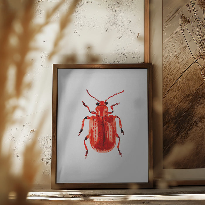 Onion beetle or Lilioceris merdigera Framed Art Wall Decor