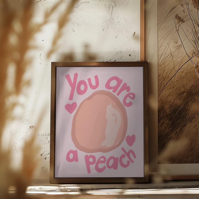 Peach Framed Art Modern Wall Decor