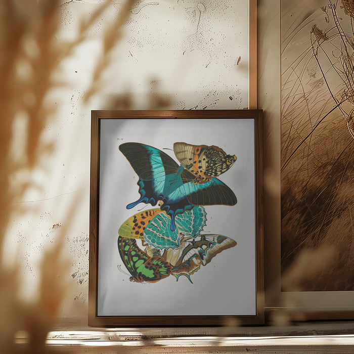 Butterflies 5 Framed Art Wall Decor