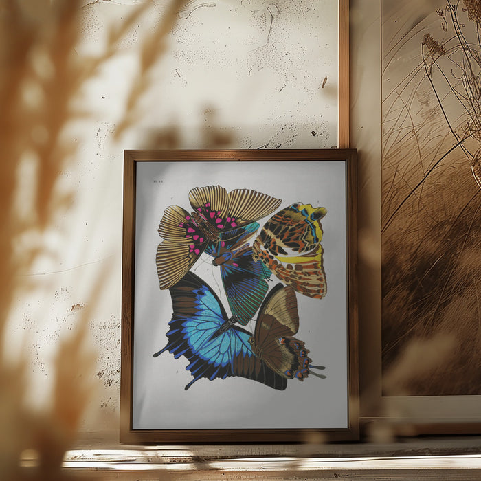 Butterflies 4 Framed Art Modern Wall Decor