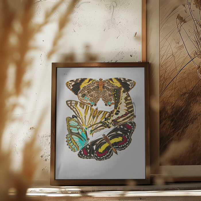 Butterflies 10 Framed Art Wall Decor