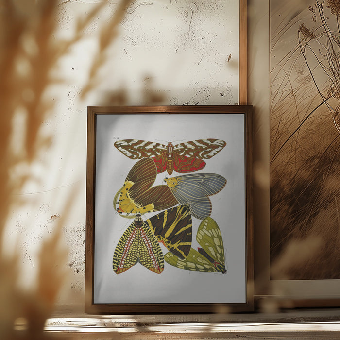 Butterflies 6 Framed Art Wall Decor