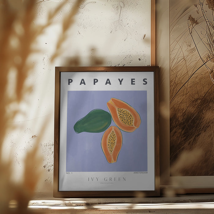 Papayes Framed Art Modern Wall Decor