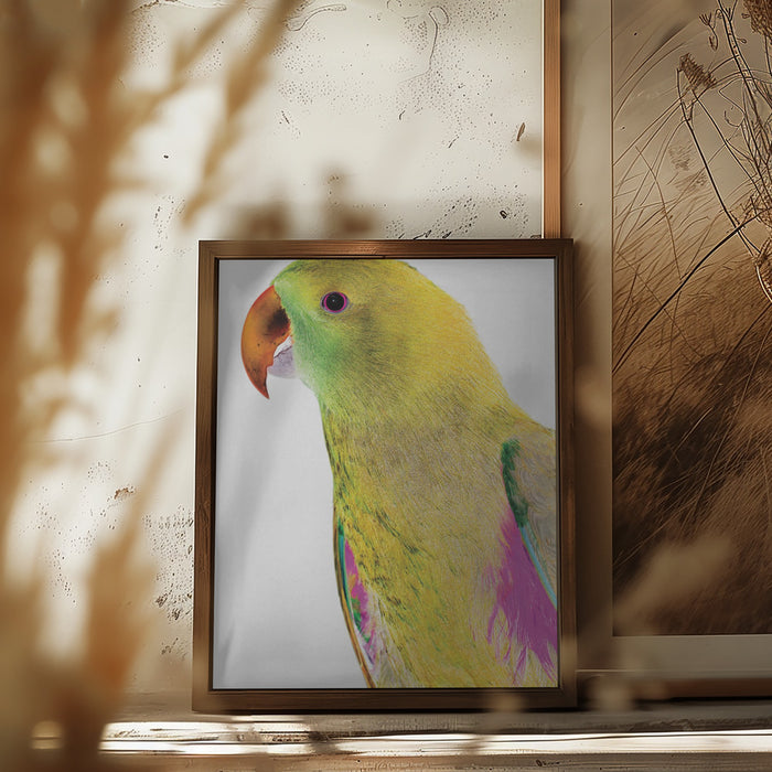 Polly Framed Art Wall Decor