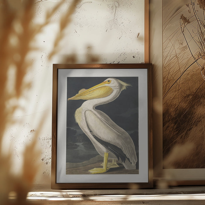 American White Pelican From Birds of America (1827) Framed Art Wall Decor